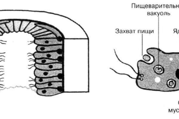 Kraken 12 at сайт