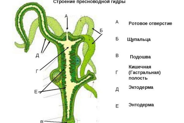 Кракен kr2web in магазин