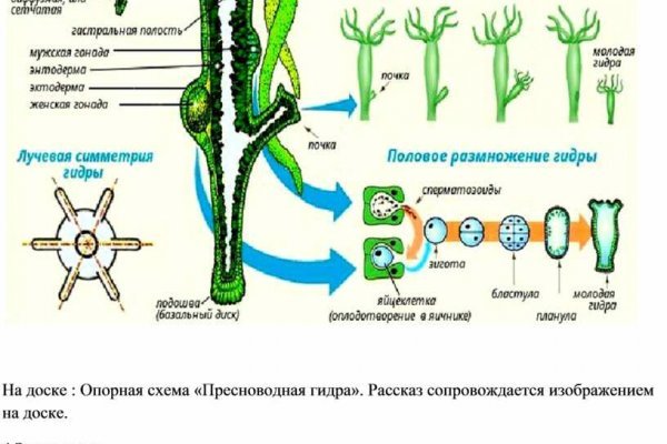 Kraken зайти на сайт