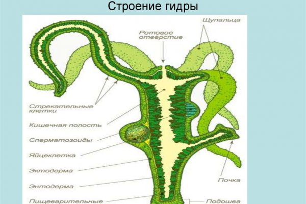 Актуальные ссылки кракен на 2025