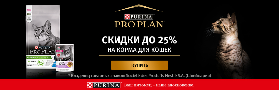 Кракен актуальная ссылка